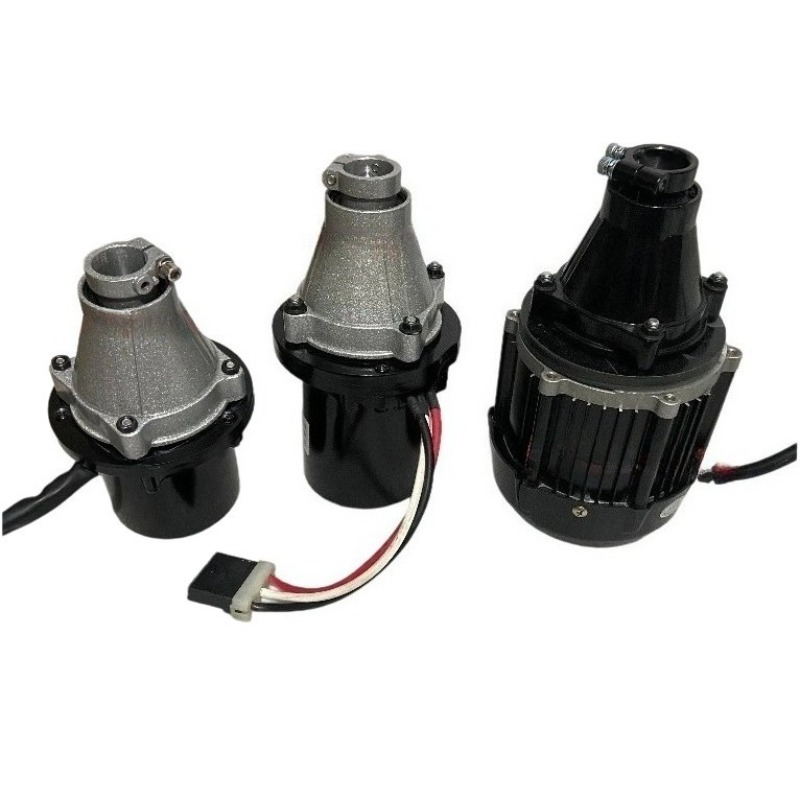 Fishing Boat Outboard Motor - 12-60 فولت 500-1500 واط فرش محرك