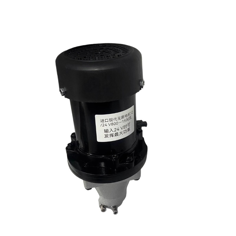 12-60 فولت 500-1500 واط فرش مح - مراجعة Fishing Boat Outboard Motor وسعره